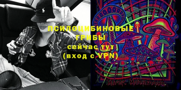 бошки Абинск