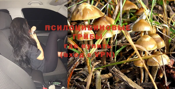 дмт Саяногорск