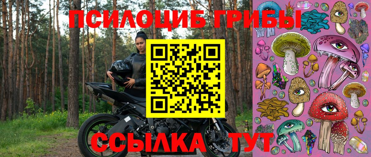 Кокаин  Мефедрон  МДМА  Вейп ТГК  Гашик  Александров  Вход с VPN  Каннабис  Alpha PVP  Как найти закладки? 
